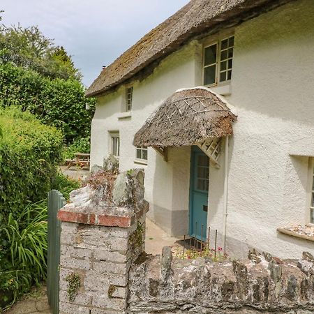 Elworthy Cottage Salcombe Buitenkant foto